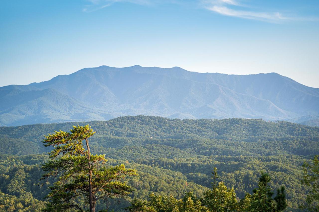 Smoky Mountain Serenity, Amazing Mountain Views 1089 Free Tickets Each Paid Day, Dollywood And More Сивиървил Екстериор снимка